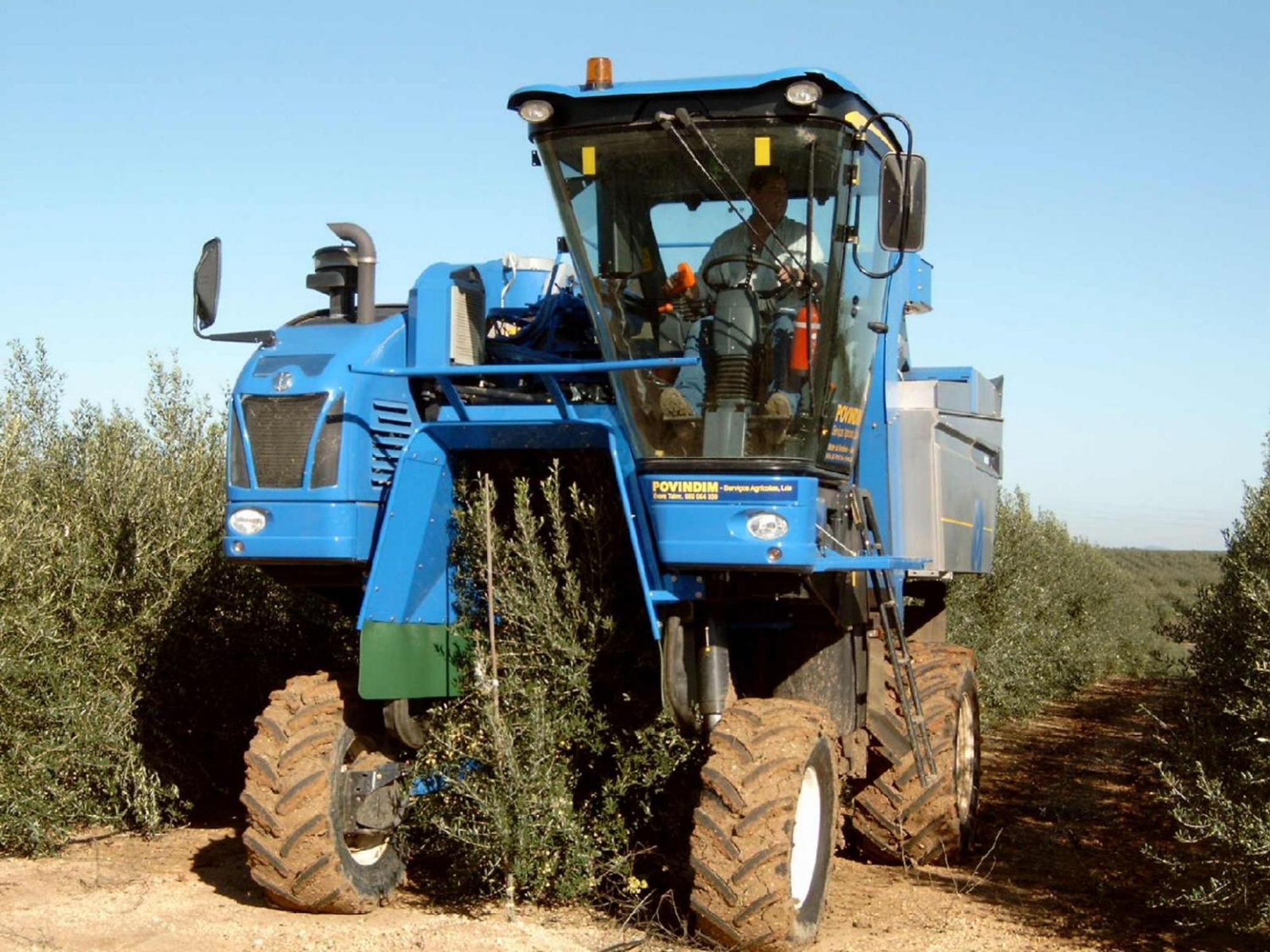 Monte Da Serralheira Agro Turismo
