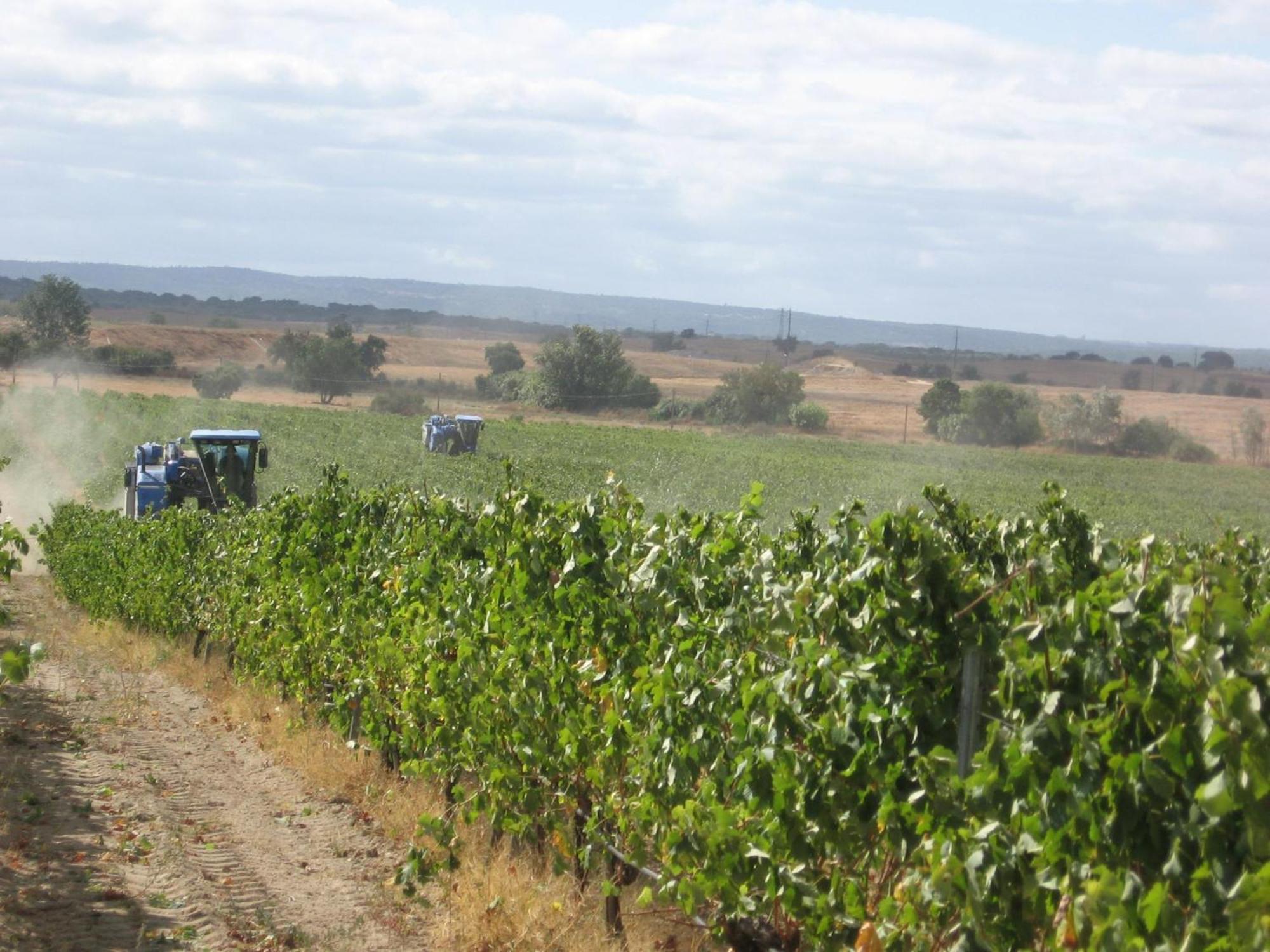 Alloggio per agriturismo Monte Da Serralheira Agro Turismo *