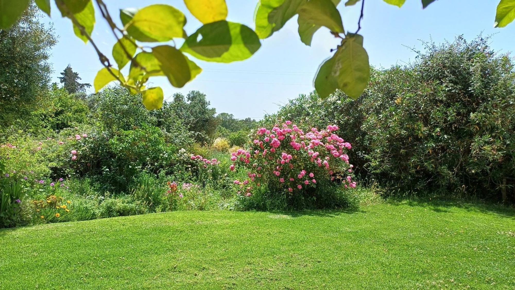Monte Da Serralheira Agro Turismo Agroturismo Évora